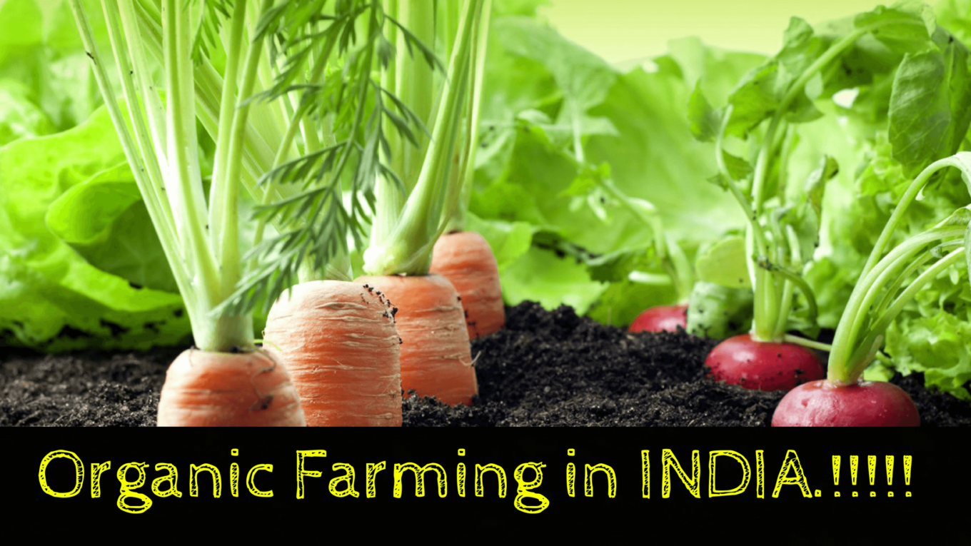 organic-farming-in-india-is-increasing-day-by-day-why